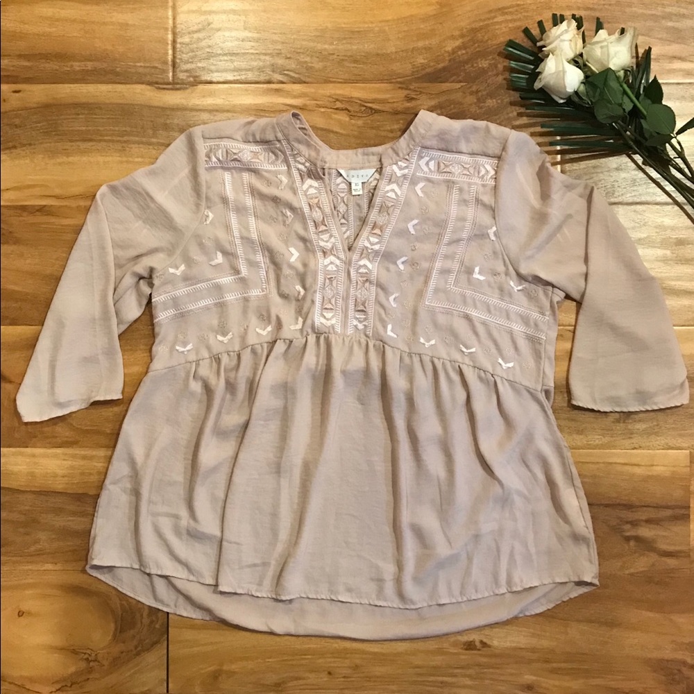 Adiva Sheer Top Tunic Embroidered Blush Pink